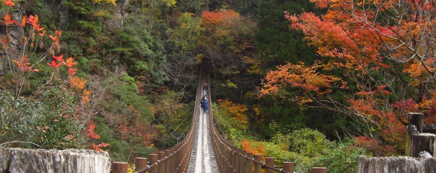 Momigi Suspension Bridge