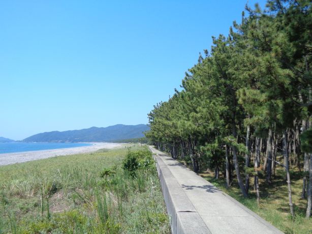 Enjugahama