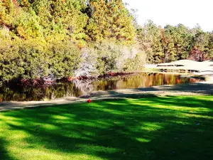 Diamondback Golf Club