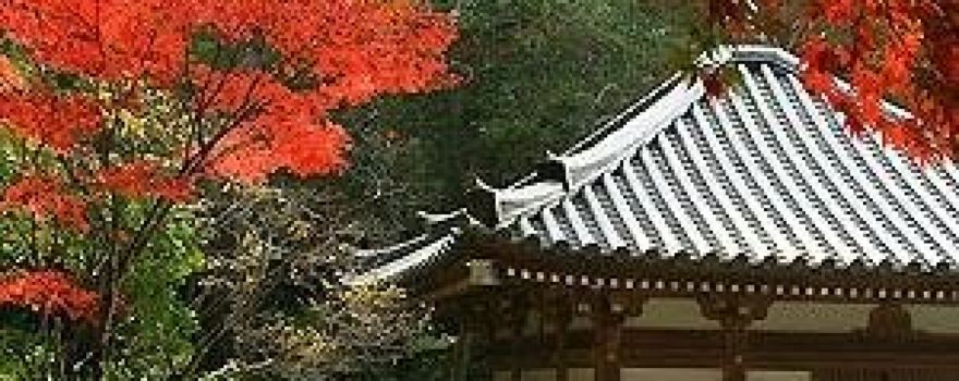 진국사