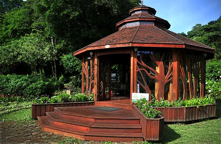 Hotels near Monteverde Art House