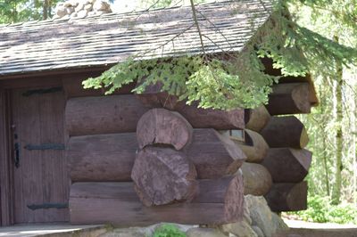 Itasca State Park