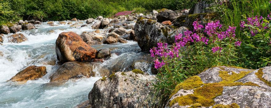 Alaska Waters