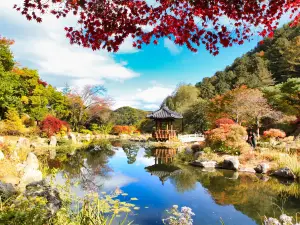 Garden of Morning Calm