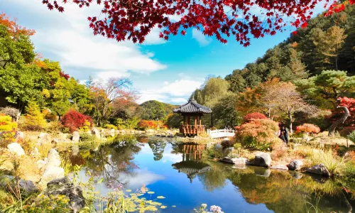Garden of Morning Calm