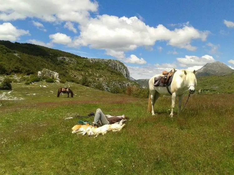 Hotels in Entrechaux