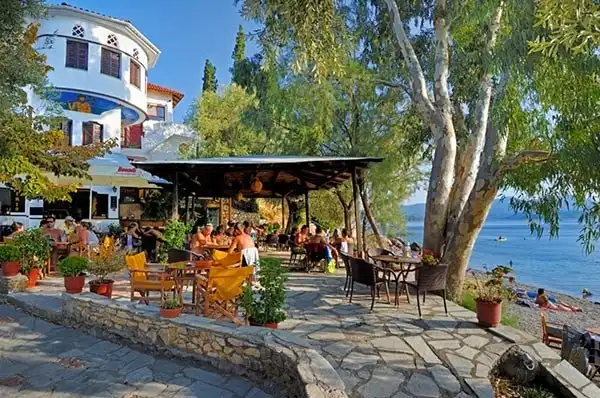 Hotels near Horto