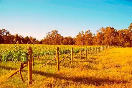 Hotels in North Boyanup