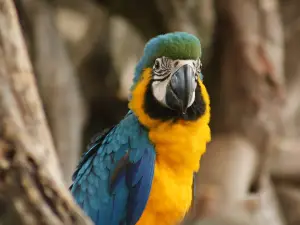 Park Zoo Reynou
