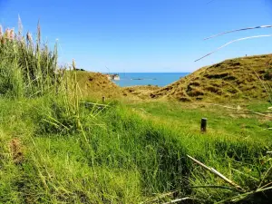 White Cliffs Walkway