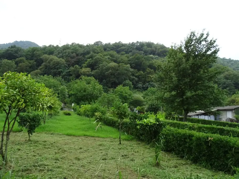 5_Ramsar Palace