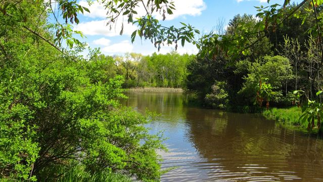 Battle Creek Dog Park
