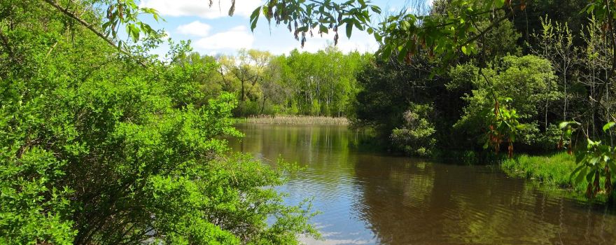 Battle Creek Dog Park