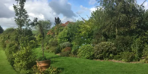 Norwood Gardens & Tea Rooms