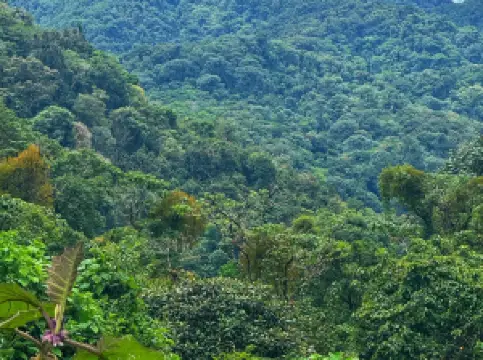 파이프라인 트레일