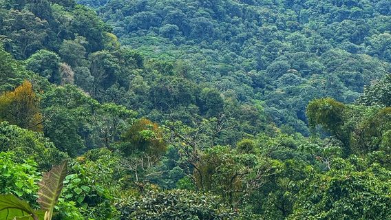 Pipeline Trail (Waterfall)