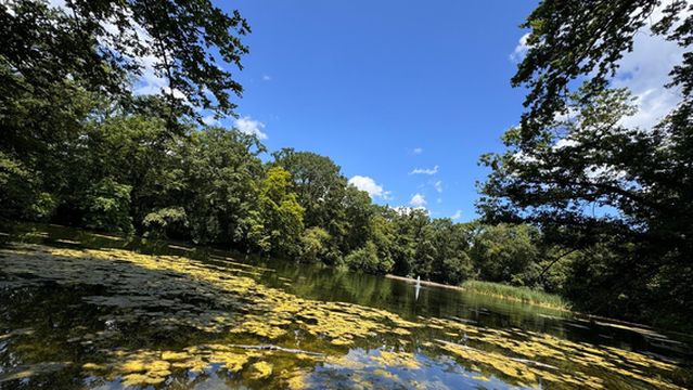 Lindenthaler Tier Park