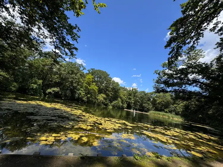 Hotels near Lindenthaler Tier Park
