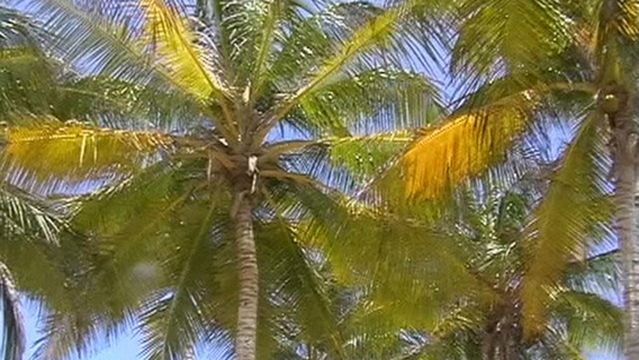 Plaza Aventura Parque Infantil