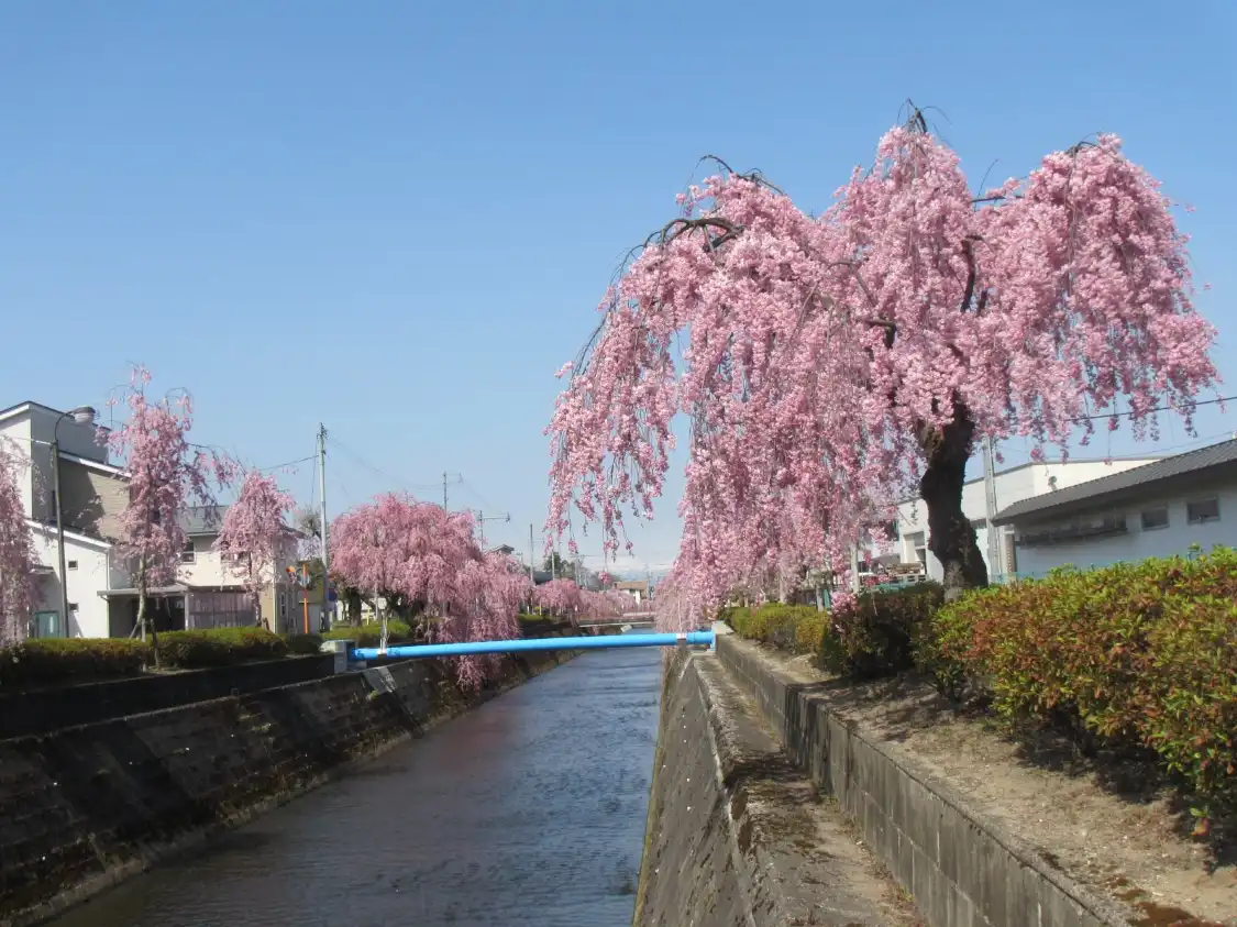 Hotels near Kuratsu River