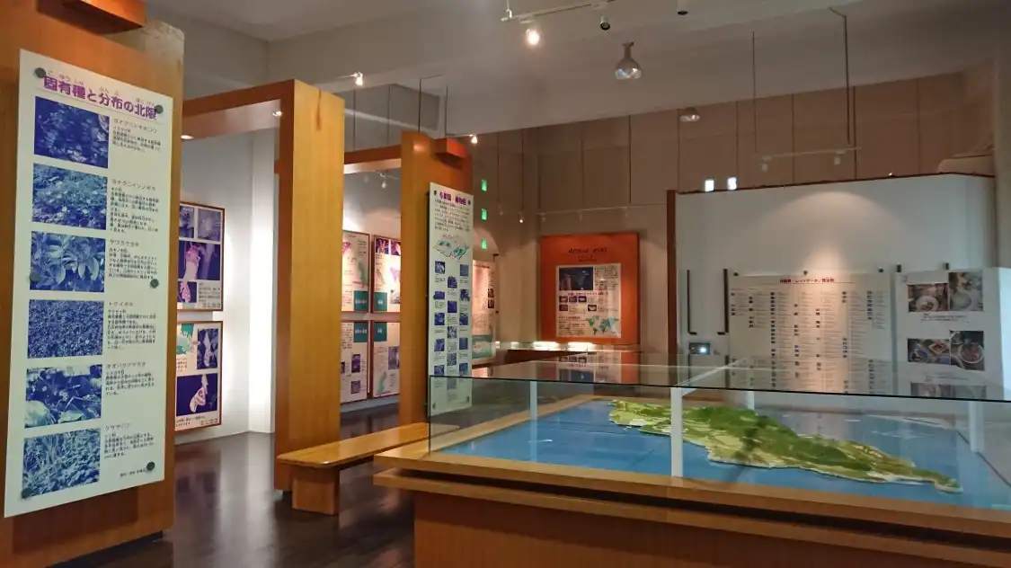 Hotels near Ayami Habil Hall
