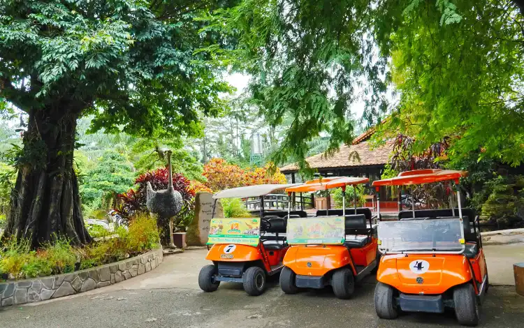 Hotels near Tạp Hóa - Phòng Trọ, Cô Tuyết
