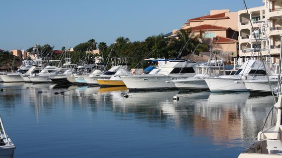 Captain Rick's Sportfishing