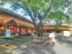 Centro Plaza Liberia