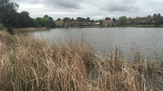 Sutton Lake