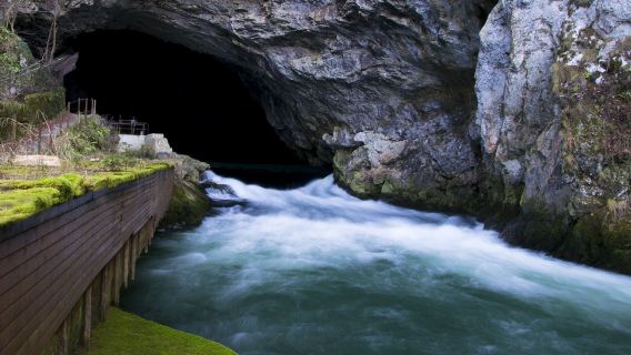 Planina Cave