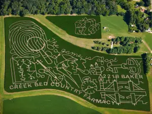 Creek Bed Farmacy