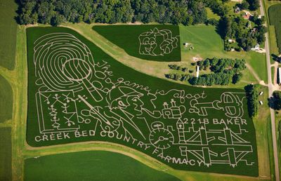 Creek Bed Farmacy