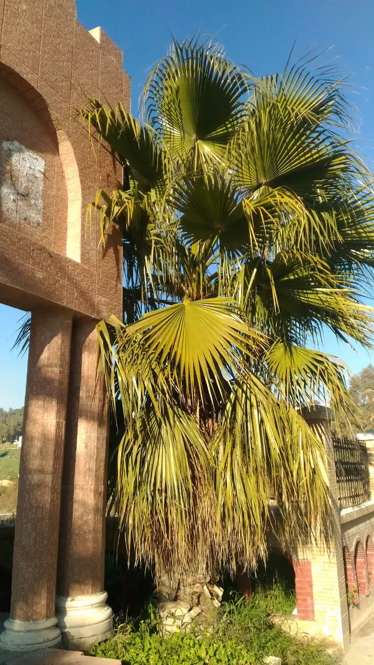 Hotels near L'aqueduc Romain Constantine