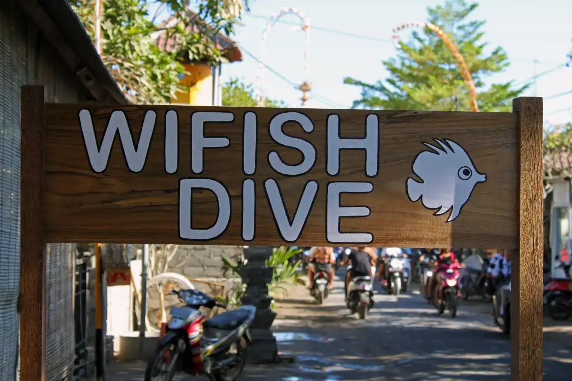 Hotel in zona WiFish Dive