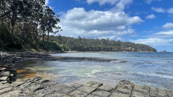 Tessellated Pavement