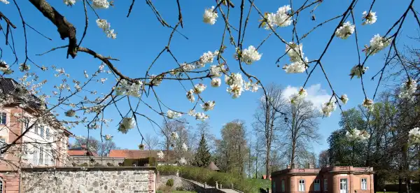 Hotels in Sjobo