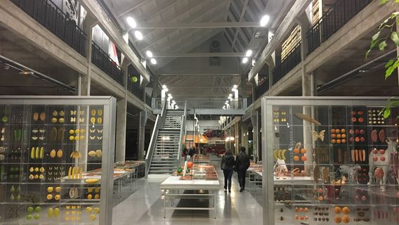 Arras