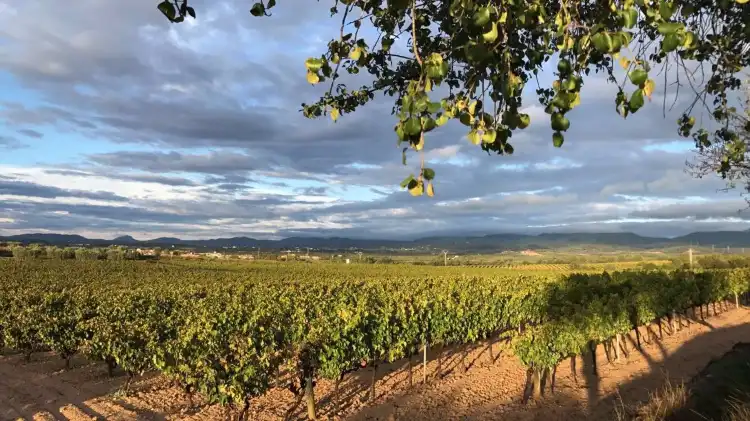 El Pla del Penedès