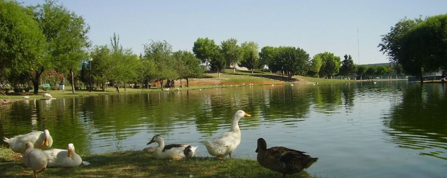 Parque Central