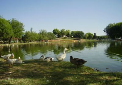 Los Rios