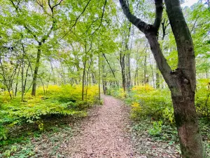 Fox Island County Park
