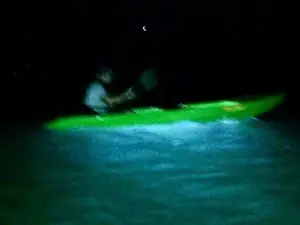 Vieques Kayak