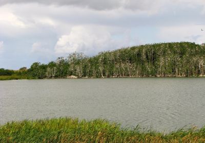 Plaze lake