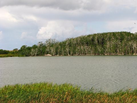 Plaze lake