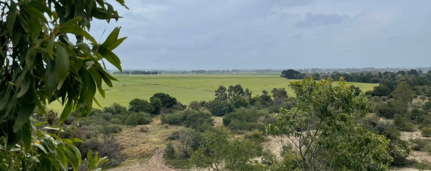 Knob Reserve