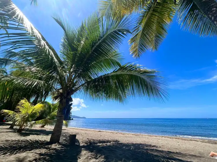 Hotels near Denshinji - Centre Zen Martinique