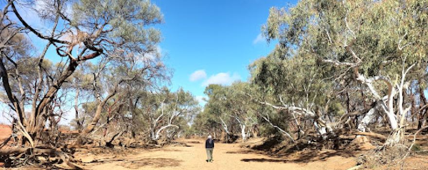 Gascoyne River