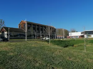 Cinema Vertigo