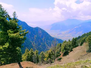 Bandipora Forest