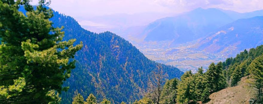 Bandipora Forest